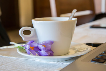 A cup of coffee on a table, indoors, close-up of a hot beverage and tiny purple flowers  - - saffron, crocus sativus