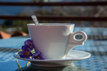 A cup of coffee outdoors, close-up of a hot beverage and tiny purple flowers - saffron, crocus sativus, and mountain in the background 