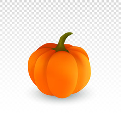 ripe pumpkin. autumn pumpkin harvest. orange pumpkin on a white background. vector illustration. eps10