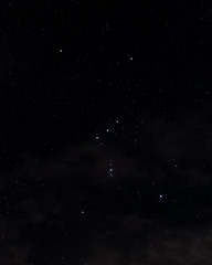 Orion