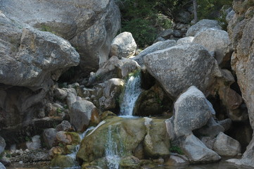 garganta