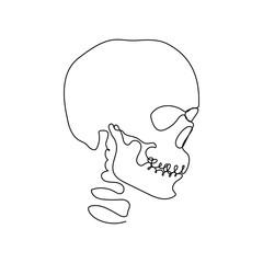 Continuous Human Skull Vector Illustration, One Line Art
