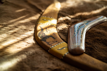 Two old boomerangs laying on the kangaroo skin, fur with wooden glossy table in the background. Souvenirs from Australia on display, shallow depth of field, warm colors - obrazy, fototapety, plakaty