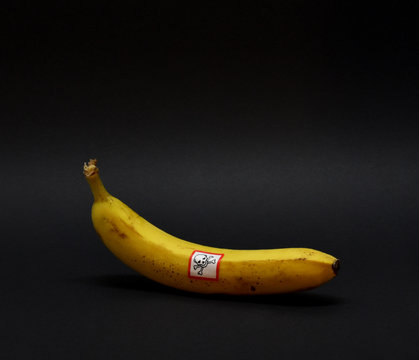 Poisonous Banana stock images. Banana isolated on a black background. Banana with warning symbol stock images. Poisonous Banana with warning pictogram
