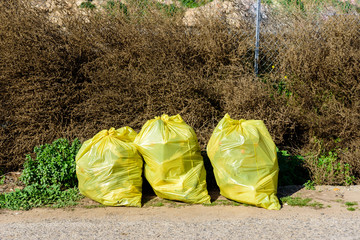 Several garbage bags collected from the field by volunteers in an ecological cleaning.