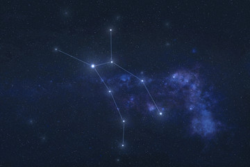 Wolf constellation stars in outer space. Lupus constellation lines. Elements of this image were furnished by NASA © ALEXANDR YURTCHENKO