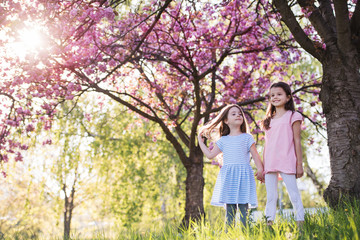 Fototapeta premium Two small girls standing outside in spring nature. Copy space.