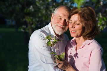 Obraz premium Beautiful senior couple in love outside in spring nature, hugging.