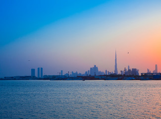 Fototapeta na wymiar sunset in Dubai city view with birds flying