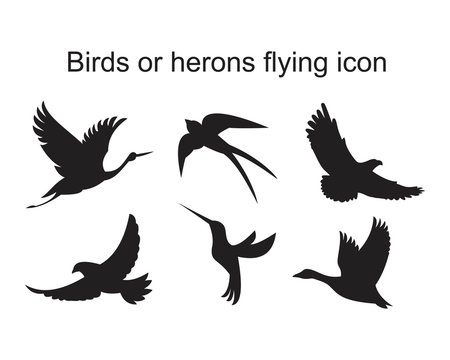 Bird or herons flying Icon template black color editable. Bird or herons flying Icon symbol Flat vector illustration for graphic and web design.