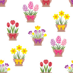 Tulips, daffodils, hyacinths and crocuses seamless pattern. Bright spring flowers in pots and bows isolated on white background. Vector floral holiday illustration in cartoon flat style.