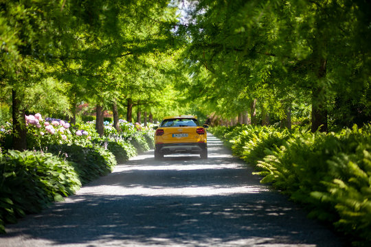 Gelber Audi Q2 SUV in Allee Auffahrt im Sommer