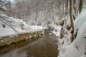 Alpine river in the village of Lumshory in the Zakarpattia region. Carpathians, Ukraine. February...