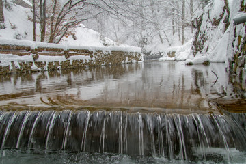 Alpine river in the village of Lumshory in the Zakarpattia region. Carpathians, Ukraine. February 2013