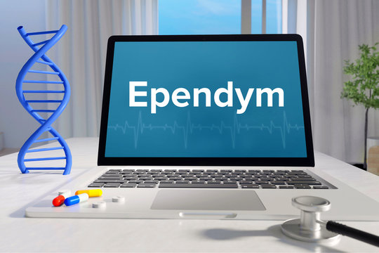 Ependym &ndash; Medizin/Gesundheit. Computer im B&uuml;ro mit Begriff auf dem Bildschirm. Arzt/Gesundheitswesen