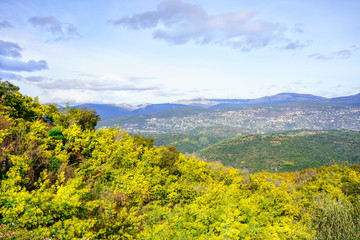 Fototapeta na wymiar Vue panoramique sur le massif de Tanneron, arbres de mimosa en fleurs, sud de France. 