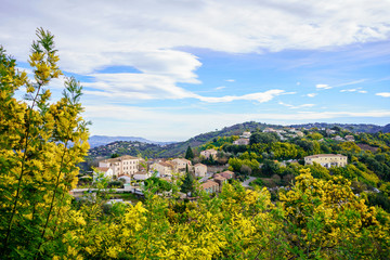 Fototapeta na wymiar Vue panoramique sur le village de Tanneron, arbres de mimosa en fleurs, sud de France. 