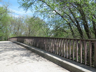 bridge in the park