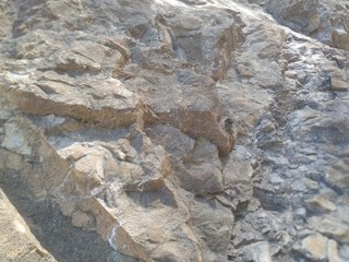 textura de rocas muy bonita