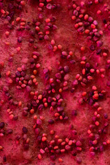 Microgreens growing. Sowing seeds into coconut coir in violet grow light close up texture background