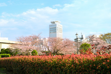 ヴェルニー公園　横須賀市汐入町の風景