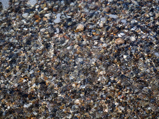 Multi-colored pebbles in clear water. The surface of the water was covered with light ripples. Tranquil summer background.
