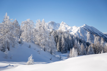 Fototapeta na wymiar Winter landscape. Austrian countryside with a lot of fresh snow