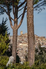 Scorcio di Olevano Romano con torre medievale - Roma - Lazio - Italia