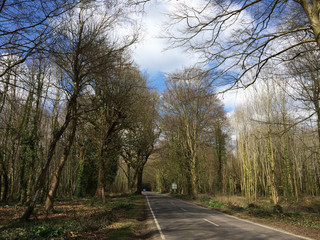 English Road