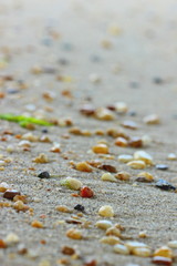 autumn leaves on the beach