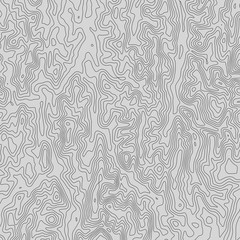 Topographic map lines background. Abstract vector illustration.