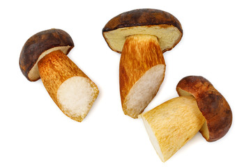 Three edible Boletus badius mushrooms isolated on a white background. These mushrooms are used to prepare a variety of delicious and nutritious dishes, freezing for the winter, drying and pickling.