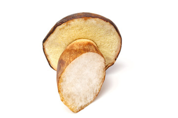 The edible mushroom Boletus badius is suitable for preparing a variety of mushroom dishes, freezing for the winter, drying and pickling. The underside of the cap is visible. Isolated.