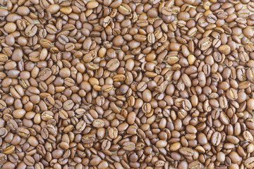 Brown Arabica coffee beans are scattered evenly on the table