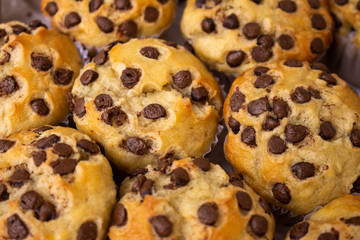 Chocolate chip vanilla muffins. Selective focus. Sweet unhealthy food