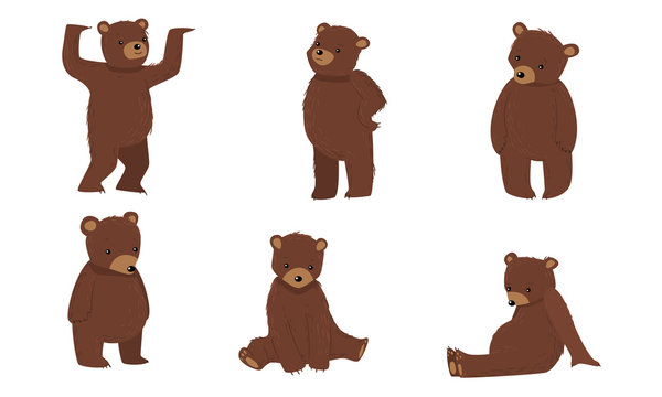 Set of brown bears in everyday life situations. Vector illustration in flat cartoon style.