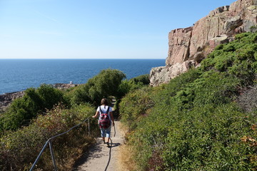 Fototapeta premium Wandern am Kullaberg in Schweden