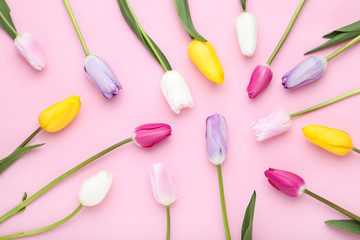 Bouquet of tulip flowers on pink background