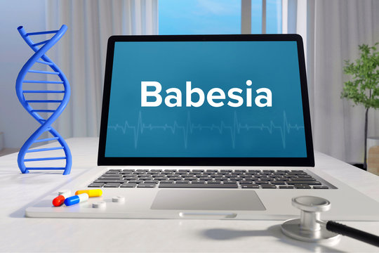 Babesia &ndash; Medizin/Gesundheit. Computer im B&uuml;ro mit Begriff auf dem Bildschirm. Arzt/Gesundheitswesen
