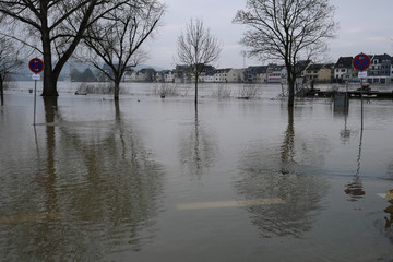 Hochwasser am Rhein bei Vallendar im Februar 2020 - Stockfoto
