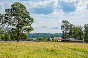Obraz premium Landscape with a field and the outskirts of the village