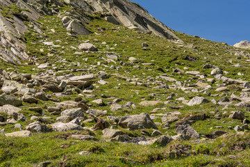 Fototapeta na wymiar Hiking through spectacular mountain landscape of Gran Paradiso Natural Park.