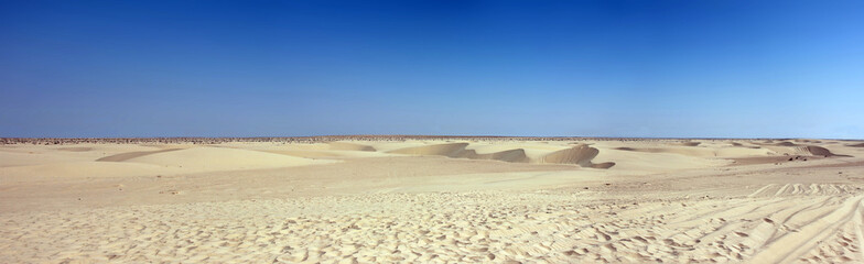 Panoramic view of the Sahara desert - obrazy, fototapety, plakaty