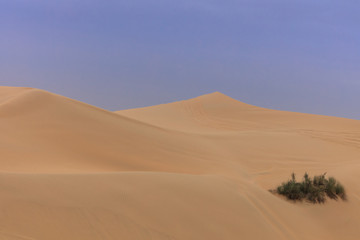 sand dunes in Abu Dhabi desert