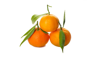 Tangerines fruits with fresh leaves isolated on a white background