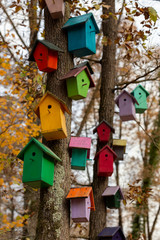 Colorful wooden beehives in forest 