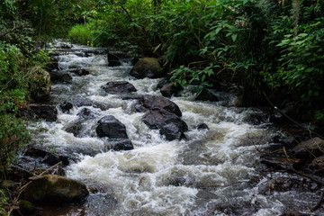 waterfall in forest