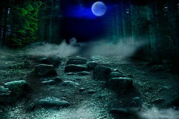 Spooky forest in the night with full moon. Horror background.