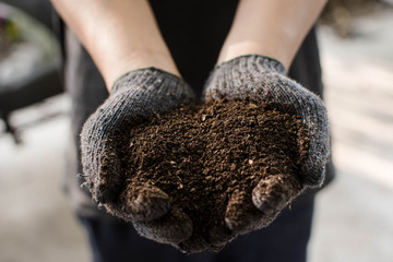 Hands in gloves holding organic fertilizer. Agriculture, ecology, farm life, gardening, and no chemicals concept.