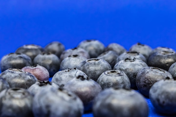 Fresh blueberries (Vaccinium myrtillus) on a blue blackground, common bilberry or blue whortleberry closeup - Image